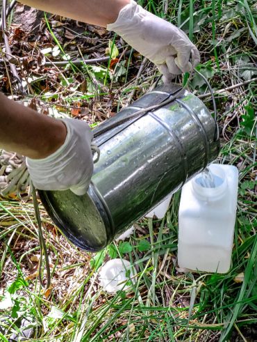 Guide pratique pour doser le roundup dans 5 litres d'eau