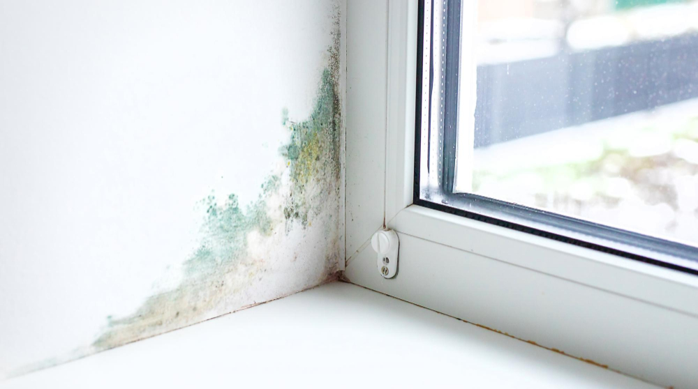 Comprendre le bon taux d'humidité dans une maison