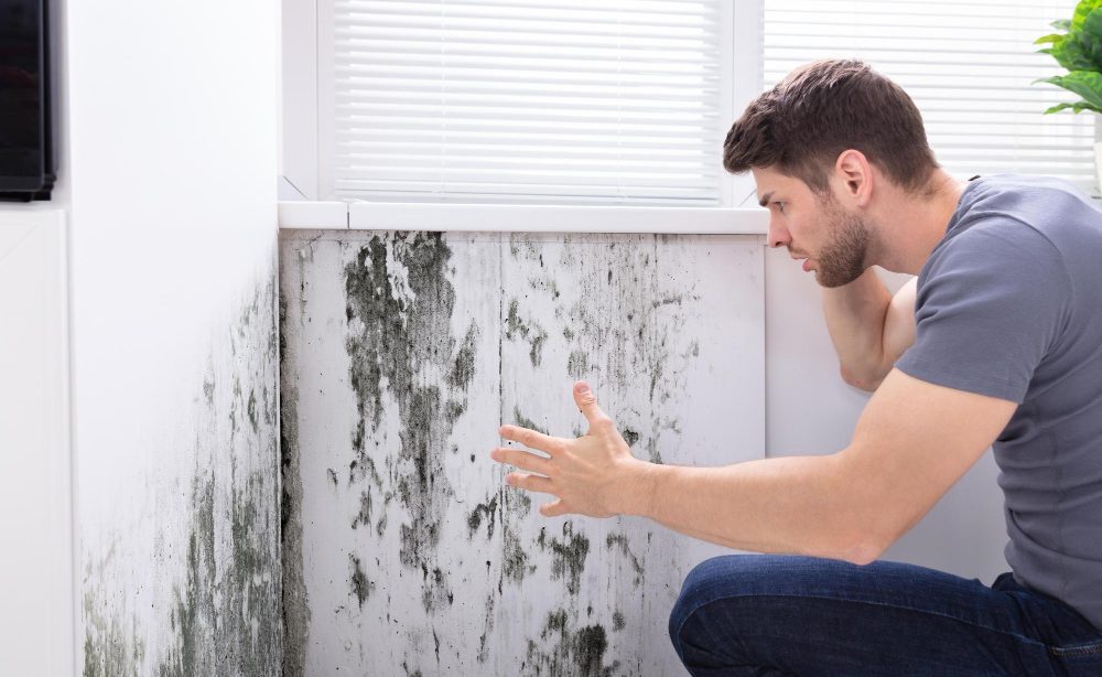 Taux d'humidité dans une maison