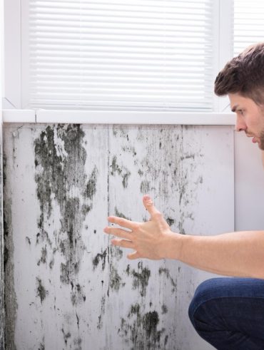 Taux d'humidité dans une maison
