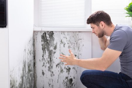 Taux d'humidité dans une maison