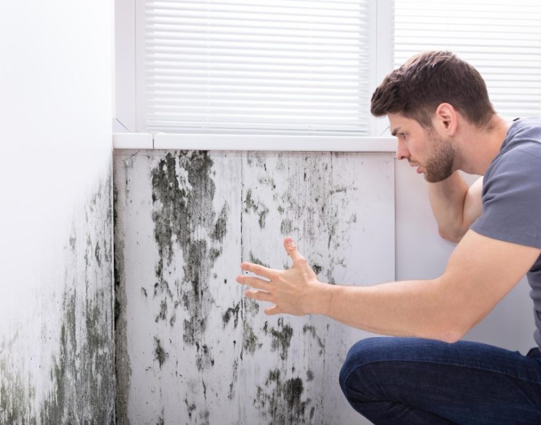 Taux d'humidité dans une maison